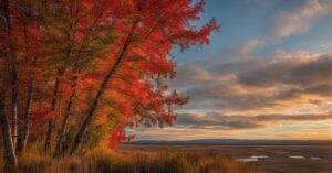 Kobuk Valley Weather