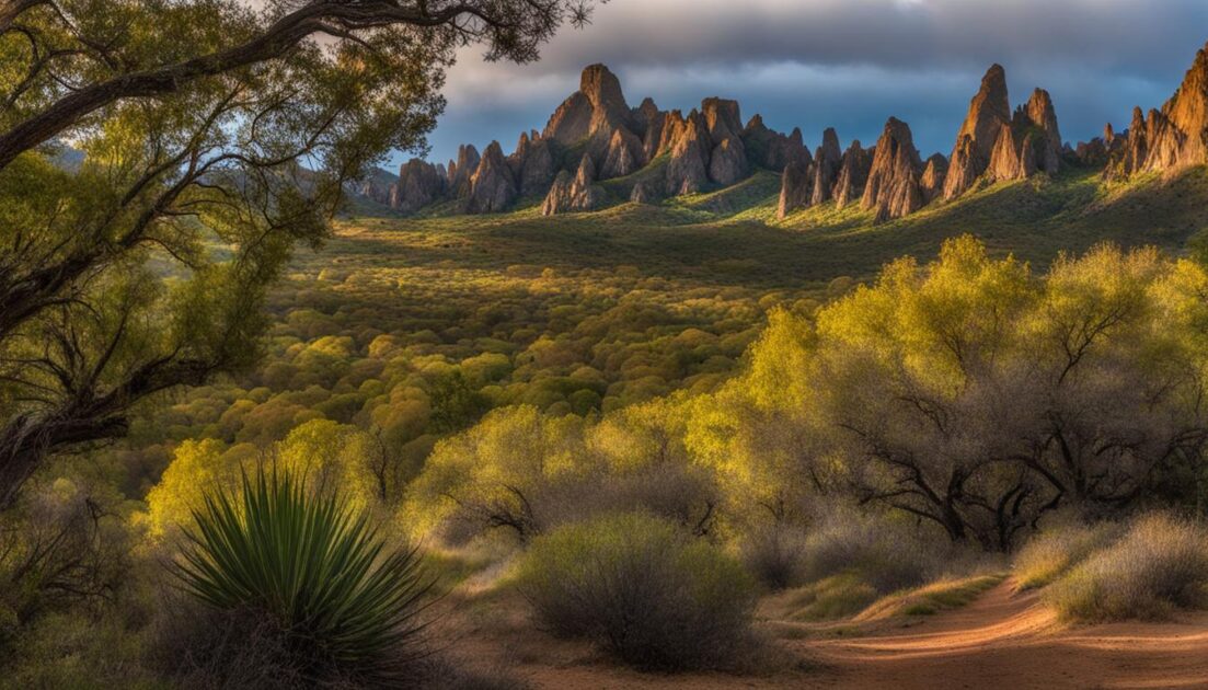 Pinnacles National Park Hiking