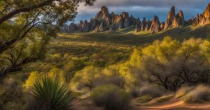 Pinnacles National Park Hiking