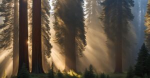 sequoia national park weather